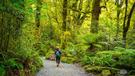 Okouzlující příroda Nového Zélandu 
