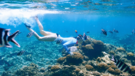 Raja Ampat - neznámý korálový ráj s českým průvodcem