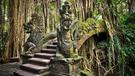 Velká indonéská cesta - Bali, Jáva, Komodo a Sumatra