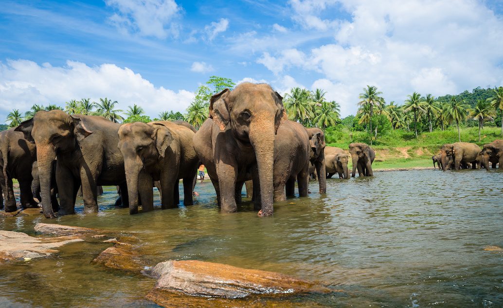 Zájezd kouzlo Srí Lanky