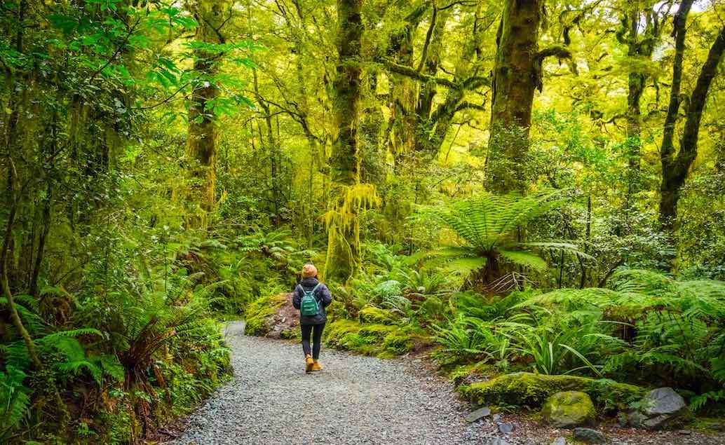 Okouzlující příroda Nového Zélandu 